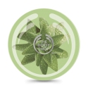 The Body Shop 美体小铺  芦荟舒缓身体滋养霜 200ml