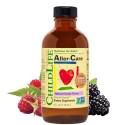 ChildLife 童年时光 Aller-Care 天然抗敏感口服液 葡萄味 118.5ml 加强免疫力