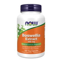 NowFoods  乳香提取物 250mg*120粒 平衡抵抗反应